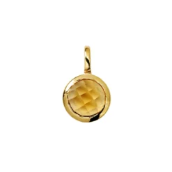 Berlock Beloved Månadssten November Guld