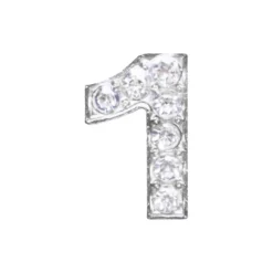 DRMZ 1 - Silver Rhinestone