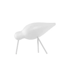 Fågel Shorebird Medium Vit