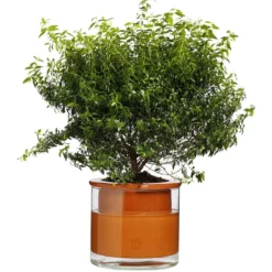 Kruka Wet Pot M