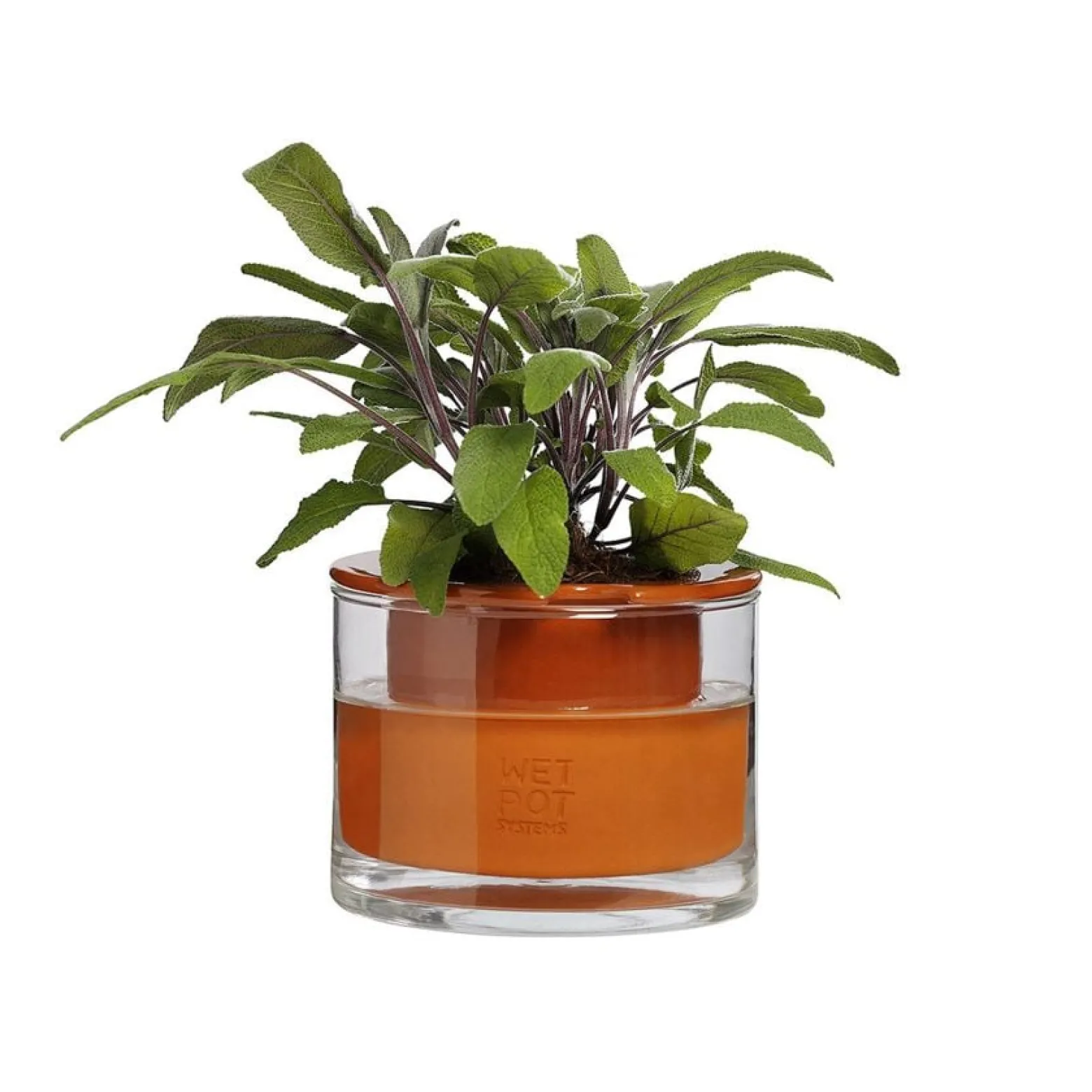 Kruka Wet Pot XS