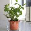 Kruka Wet Pot XS