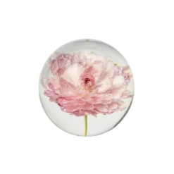 Pappersvikt Peony Rose Ranunkel 8 cm