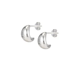 Örhängen Drop Silver