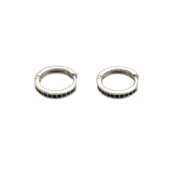 Örhängen Nano silver/svart