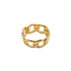 Ring Links Curb Chain Guld 16mm